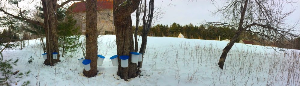 Green Umbrella Medicinals